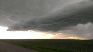 10284970_289023511275365_6539725043819702694_o