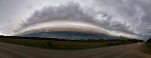 11781600_472925649551816_1414133137213057727_n